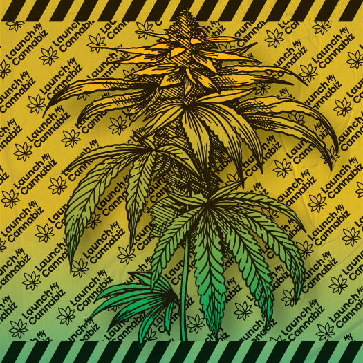 LMC blueprint sample